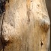 Brian Trunk Photo 8