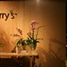 Kerry Booth Photo 6