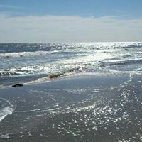Linda Krueger Photo 15