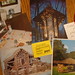 Colleen Carver Photo 26