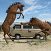 Patricia Wray Photo 30