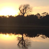 Susan Gunter Photo 32
