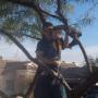 Ray Cline Photo 15