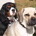 Charles Conlon Photo 6