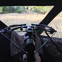 Sean Bates Photo 6
