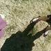 Brittany Adkins Photo 27