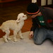 Jimmie Lamb Photo 6