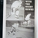 Steve Tibbetts Photo 10
