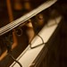 Michael Rowand Photo 15