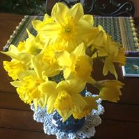 Ellen Williamson Photo 35