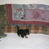 Kim Chandler Photo 32