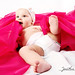 Jonathan Lindner Photo 8