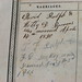 David Bible Photo 13
