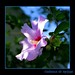 Sharon Goodman Photo 15