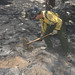 Tom Schultz Photo 25