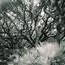 Deborah Lemieux Photo 19