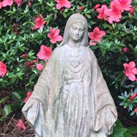 Mary Lofton Photo 12