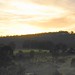 Dawn Hunter Photo 17