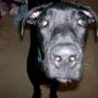 Katie Wrobel Photo 11
