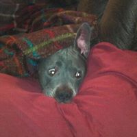 Janet Helton Photo 17