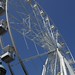 Robin Ferris Photo 16
