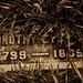 Dorothy Monroe Photo 28