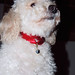 Rodolfo Marta Photo 7