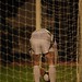 Shane Quinn Photo 25