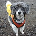 Jimmy Short Photo 7