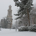 Thomas Snow Photo 25