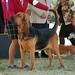 Susan Burch Photo 18