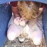 Samuel Short Photo 31