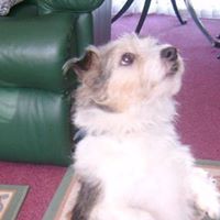 Jeanette Shelton Photo 16