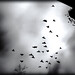 Stacey Bird Photo 16