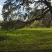 Phillip Gould Photo 10