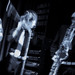 Stephen Rawls Photo 20