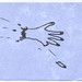 Todd Hand Photo 16