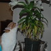 Tina Chew Photo 8