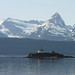 Lynn Iles Photo 8