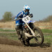 Mark Abrams Photo 18