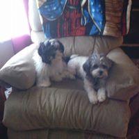 Mary Kurtz Photo 9