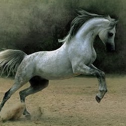 Jean Bush Photo 13