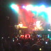 Dave Root Photo 15