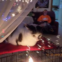Janet Curtiss Photo 3