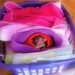 Joey Link Photo 16