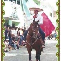 Miguel Pascacio Photo 8