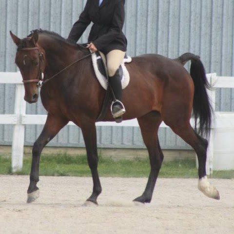 Jamie Heffernan Photo 27