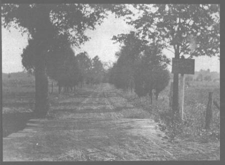 Judith Schulte Photo 5