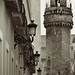 Nicolas Torres Photo 10