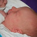 Joseph Elliot Photo 15